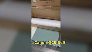 Sabuk Konveyor Canon OCE varioPRINT 1060075550