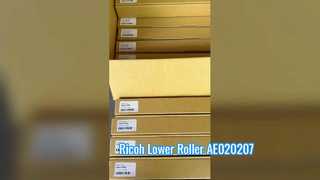 Roller Bawah AE020207 untuk Ricoh MP301 Hongtaipart