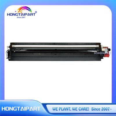 Beli Unit Pengembang Hitam D177-3025 D177-3026 D177-3027 D177-3028 D177-3020 D177-3021 D177-3022 D177-3023 untuk Ricoh MP C2003 C2503 Perlengkapan printer kantor pembuatan online