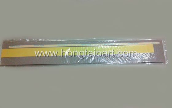 Segel Mylar